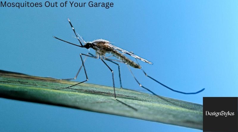 Mosquitoes Out of Your Garage